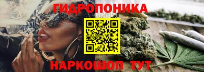гашик Балаково