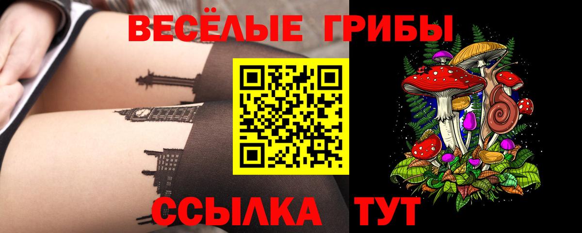 Псилоцибиновые грибы Magic Shrooms  Псилоцибиновые грибы Magic Shrooms  Вход с VPN  Богородицк 